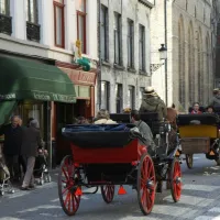 camping-memling-brugge-obprp