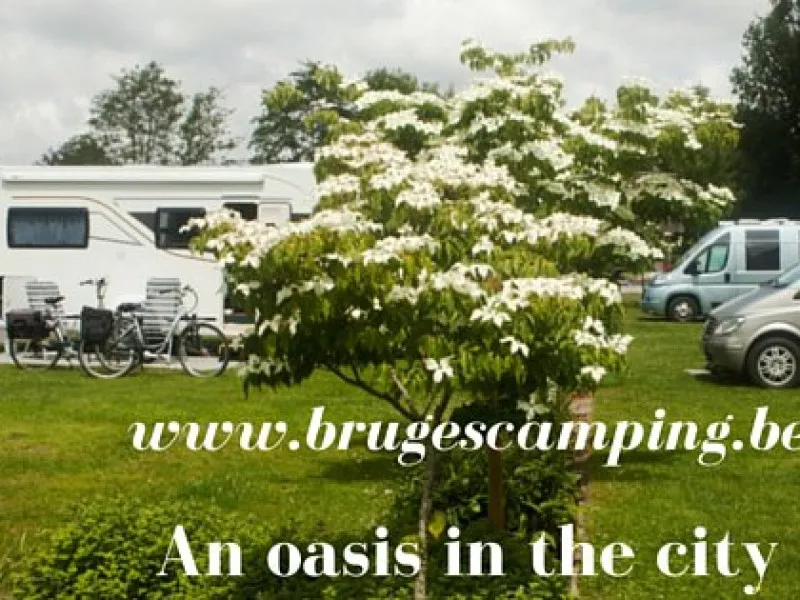 camping-memling-brugge-tkjez