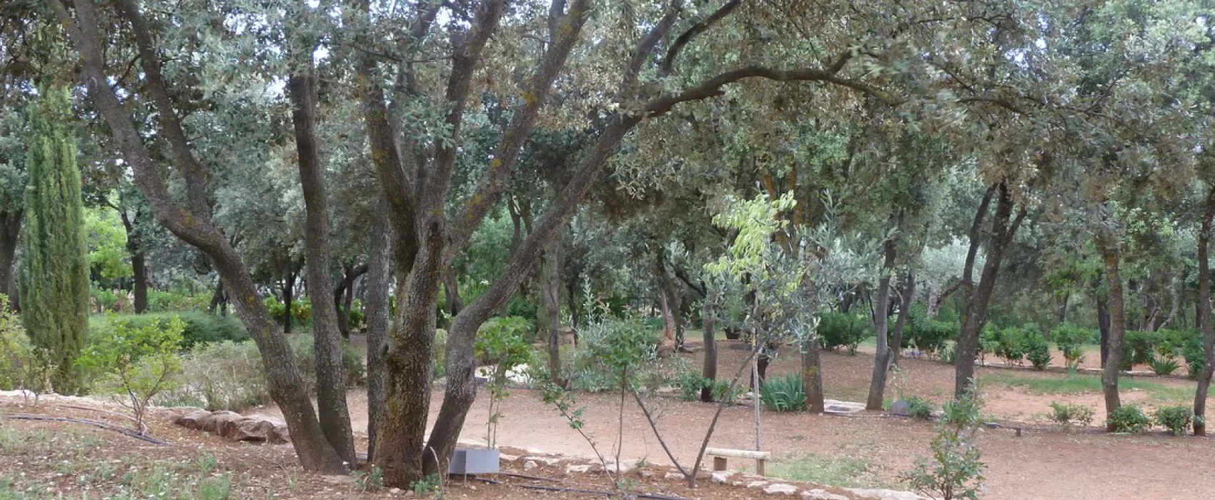 Camping Alquézar