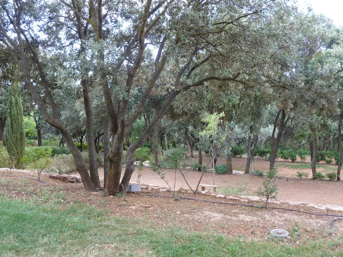camping-alquzar-huesca-0fsjg