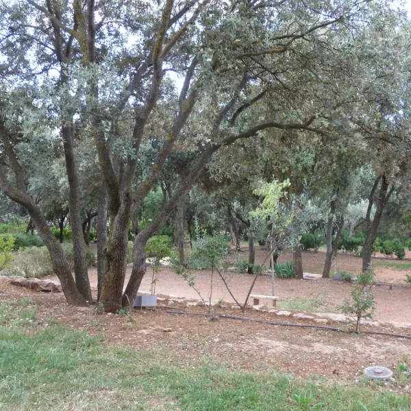camping-alquzar-huesca-0fsjg