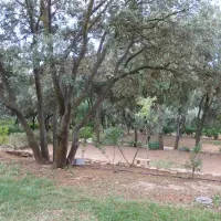 camping-alquzar-huesca-0fsjg