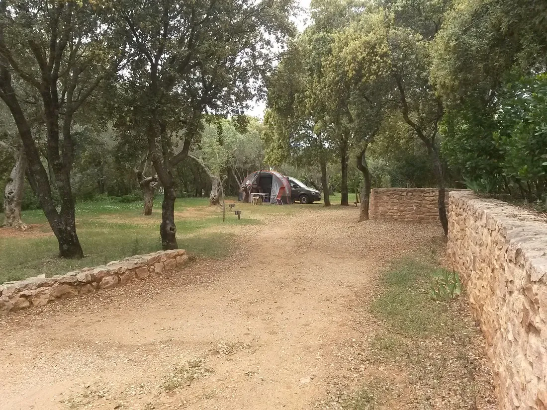 camping-alquzar-huesca-pkmrx