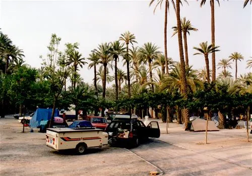 camping-internacional-las-palmeras-crevillent-afxr7