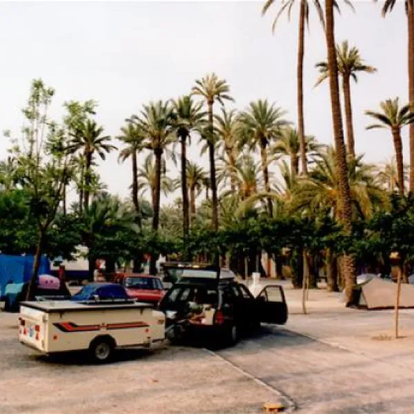 camping-internacional-las-palmeras-crevillent-afxr7