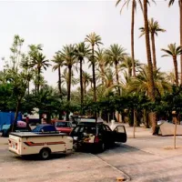 Camping Internacional Las Palmeras