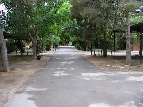 camping-internacional-las-palmeras-crevillent-bt0mj