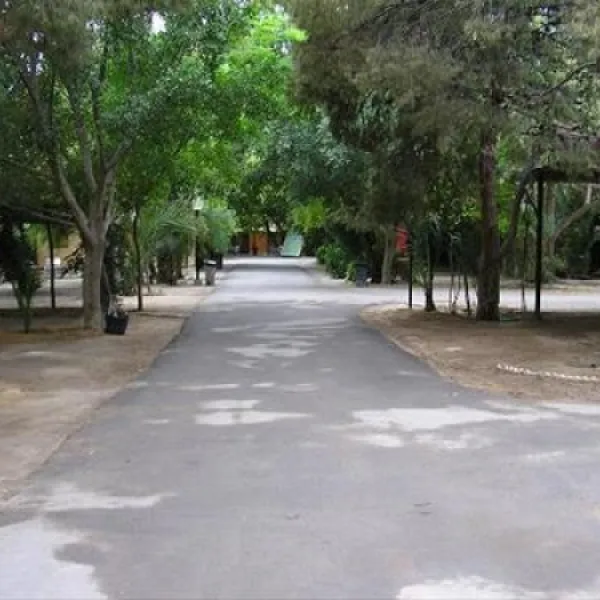 camping-internacional-las-palmeras-crevillent-bt0mj