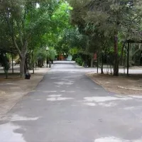 camping-internacional-las-palmeras-crevillent-bt0mj