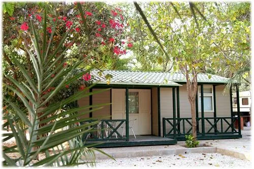 camping-internacional-las-palmeras-crevillent-mnqhu