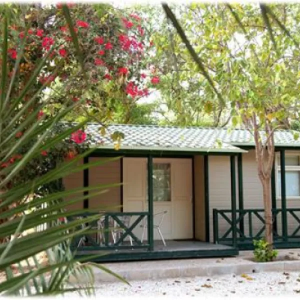 camping-internacional-las-palmeras-crevillent-mnqhu