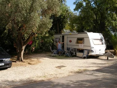 camping-internacional-las-palmeras-crevillent-psmc2