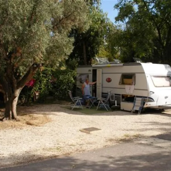 camping-internacional-las-palmeras-crevillent-psmc2