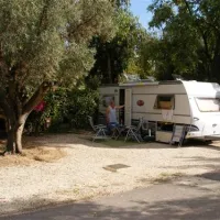 camping-internacional-las-palmeras-crevillent-psmc2