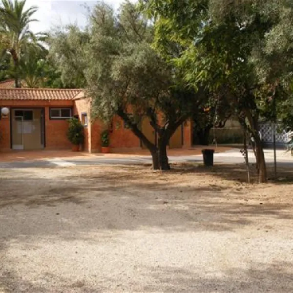 camping-internacional-las-palmeras-crevillent-zebcy