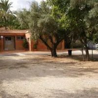camping-internacional-las-palmeras-crevillent-zebcy