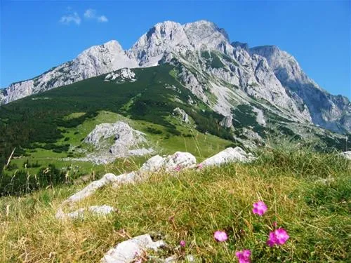camp-mostrafting-rooms-tara-abljak-vrfot