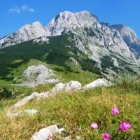 camp-mostrafting-rooms-tara-abljak-vrfot
