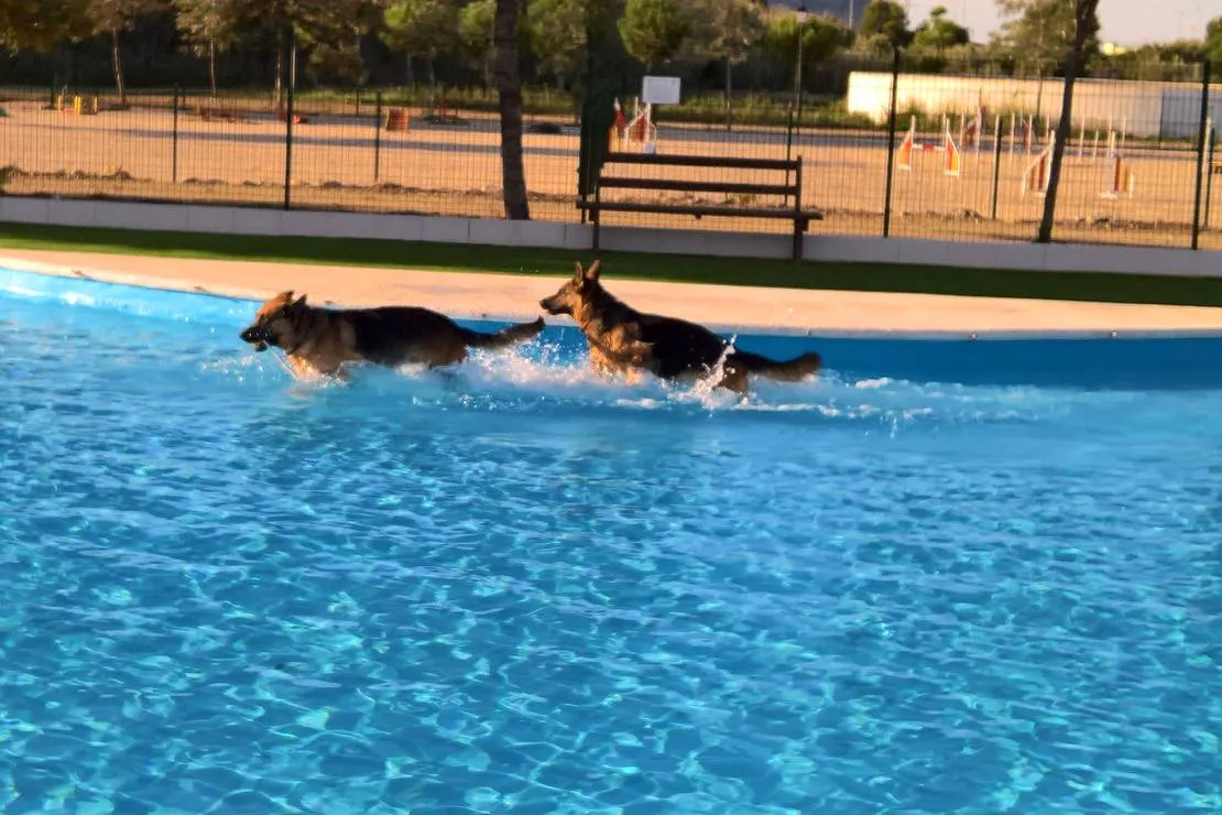 trust-resort-canino-ondara-m8f9w