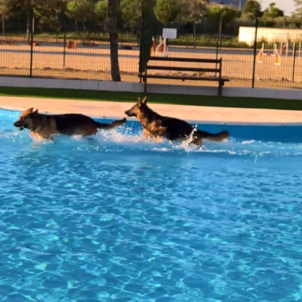 trust-resort-canino-ondara-m8f9w