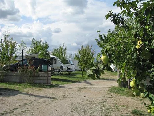mali-wimbledon-mostar-hept5