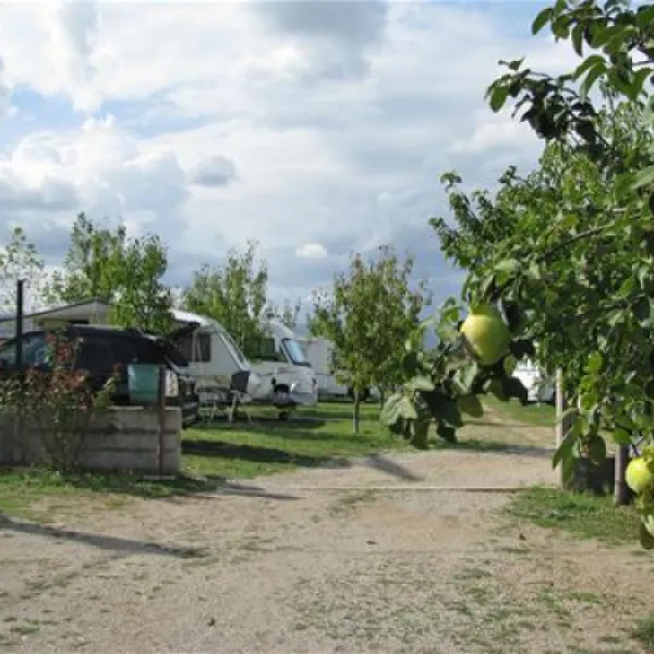 mali-wimbledon-mostar-hept5