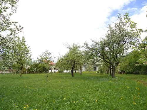 turisticna-kmetija-hribar-brezje-rdxfn
