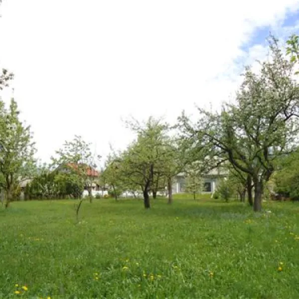 turisticna-kmetija-hribar-brezje-rdxfn