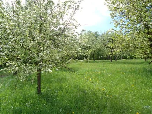 turisticna-kmetija-hribar-brezje-xc3yx