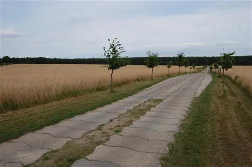 camping-am-grossen-zechliner-see-flecken-zechlin-awasp