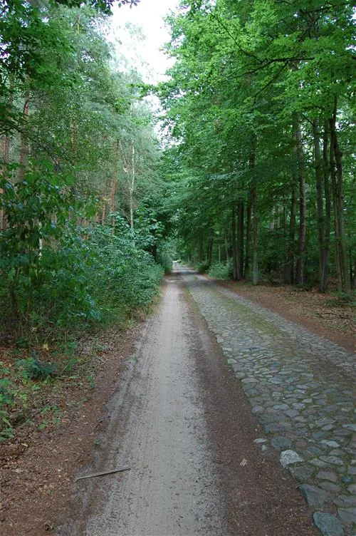camping-am-grossen-zechliner-see-flecken-zechlin-hvt5w