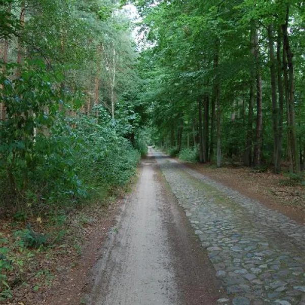 camping-am-grossen-zechliner-see-flecken-zechlin-hvt5w