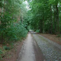 camping-am-grossen-zechliner-see-flecken-zechlin-hvt5w
