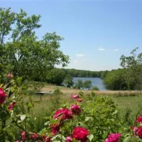 Camping Vue du Lac  