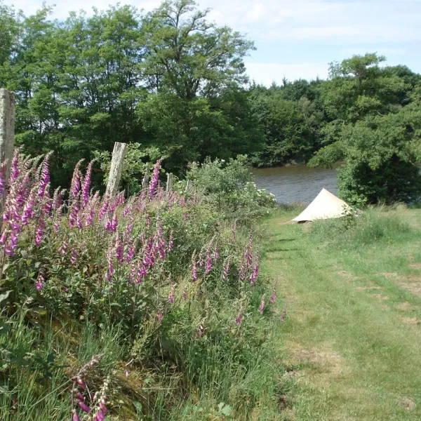 camping-vue-du-lac--fours-sq8se