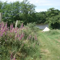 camping-vue-du-lac--fours-sq8se