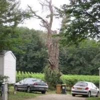 camping-le-pressoir-petit-palais-et-cornemps-jnghe