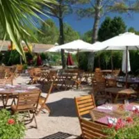 camping-le-pressoir-petit-palais-et-cornemps-ngzd3