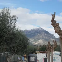 camping-la-torreta-benidorm-ffir0