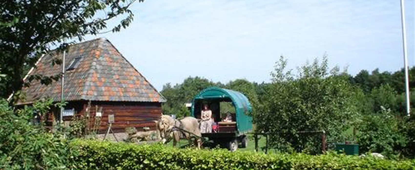 Hendrikus Drogt