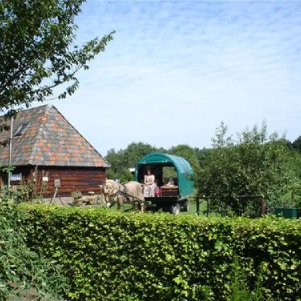 Hendrikus Drogt
