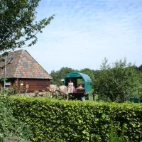 minicamping-de-bulte-tiendeveen-cmgs9
