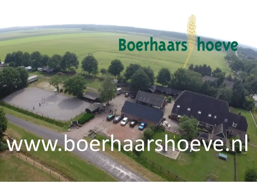 camping-boerhaarshoeve-grolloo-fnymz