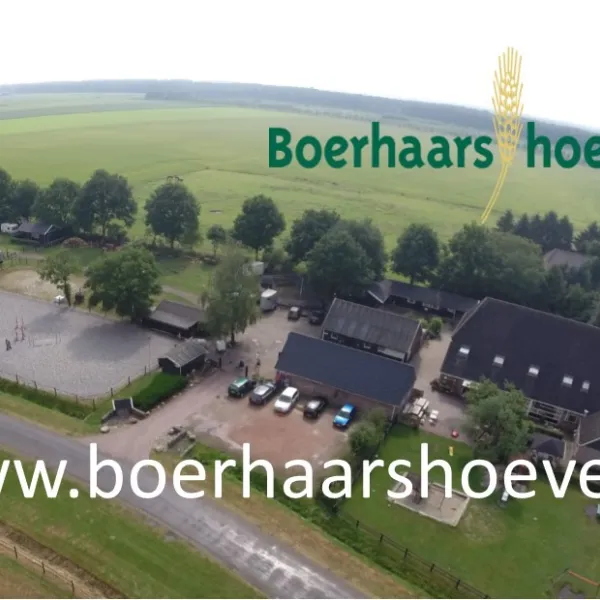 camping-boerhaarshoeve-grolloo-fnymz
