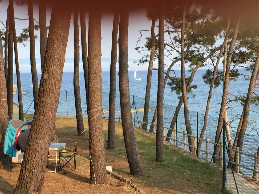 camping-coroso-palmeira-ribeira-iqpi8