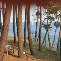 camping-coroso-palmeira-ribeira-iqpi8