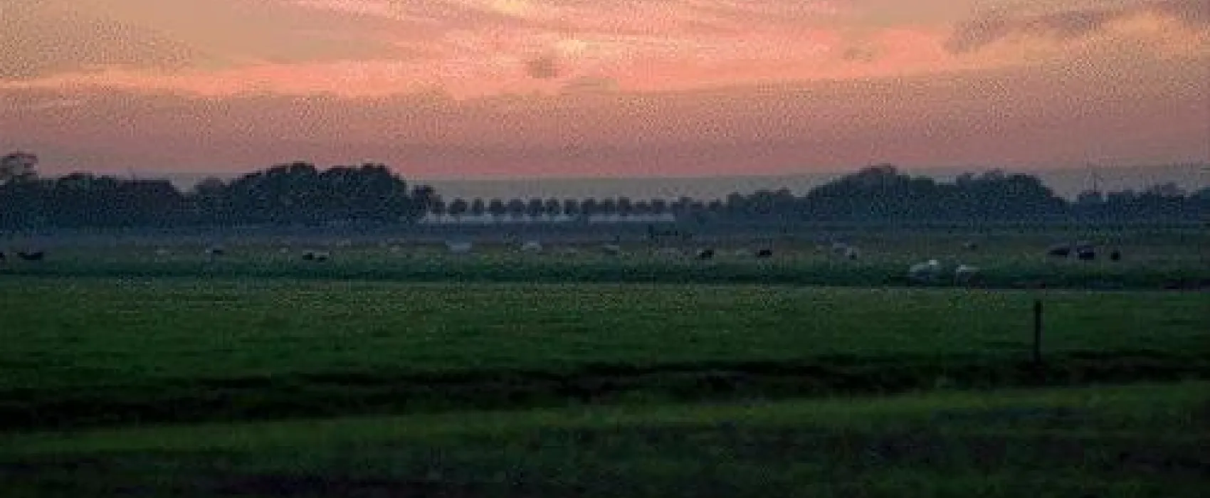 Camping Weidumerhout
