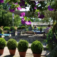 camping-weidumerhout-weidum-nxjsp