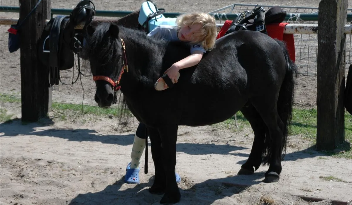 camping-de-witte-wieven-nunspeet-bfktm
