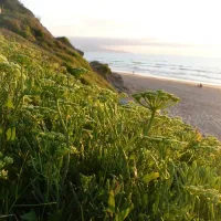 Camping La Plage